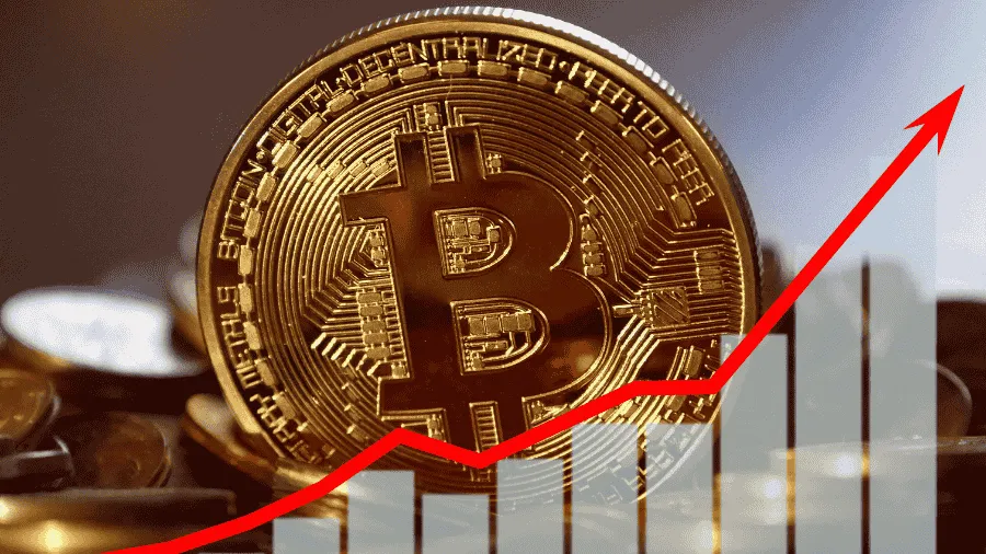 فرص بأرباح عالية للمبتدئين